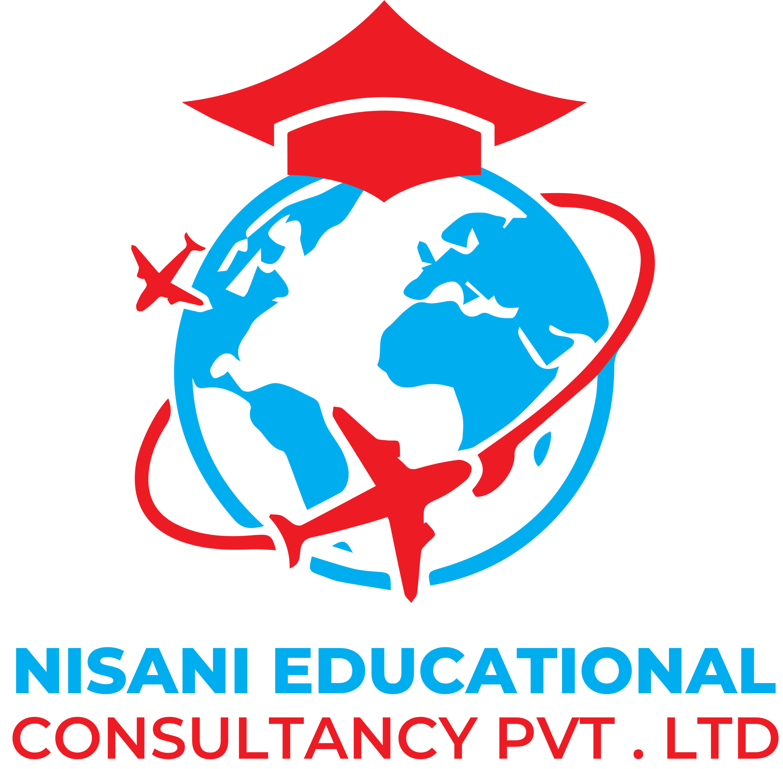 Nisani Educational Consultancy Pvt. Ltd. Logo